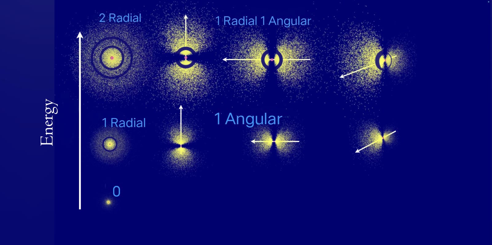 1 radial and 1 angular node